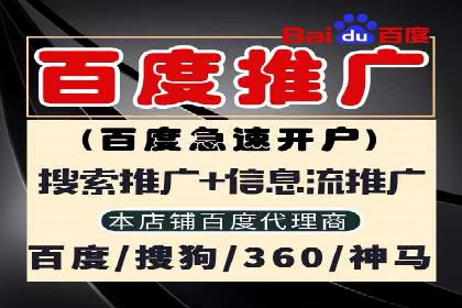 案例分析：百度推广成功案例解析